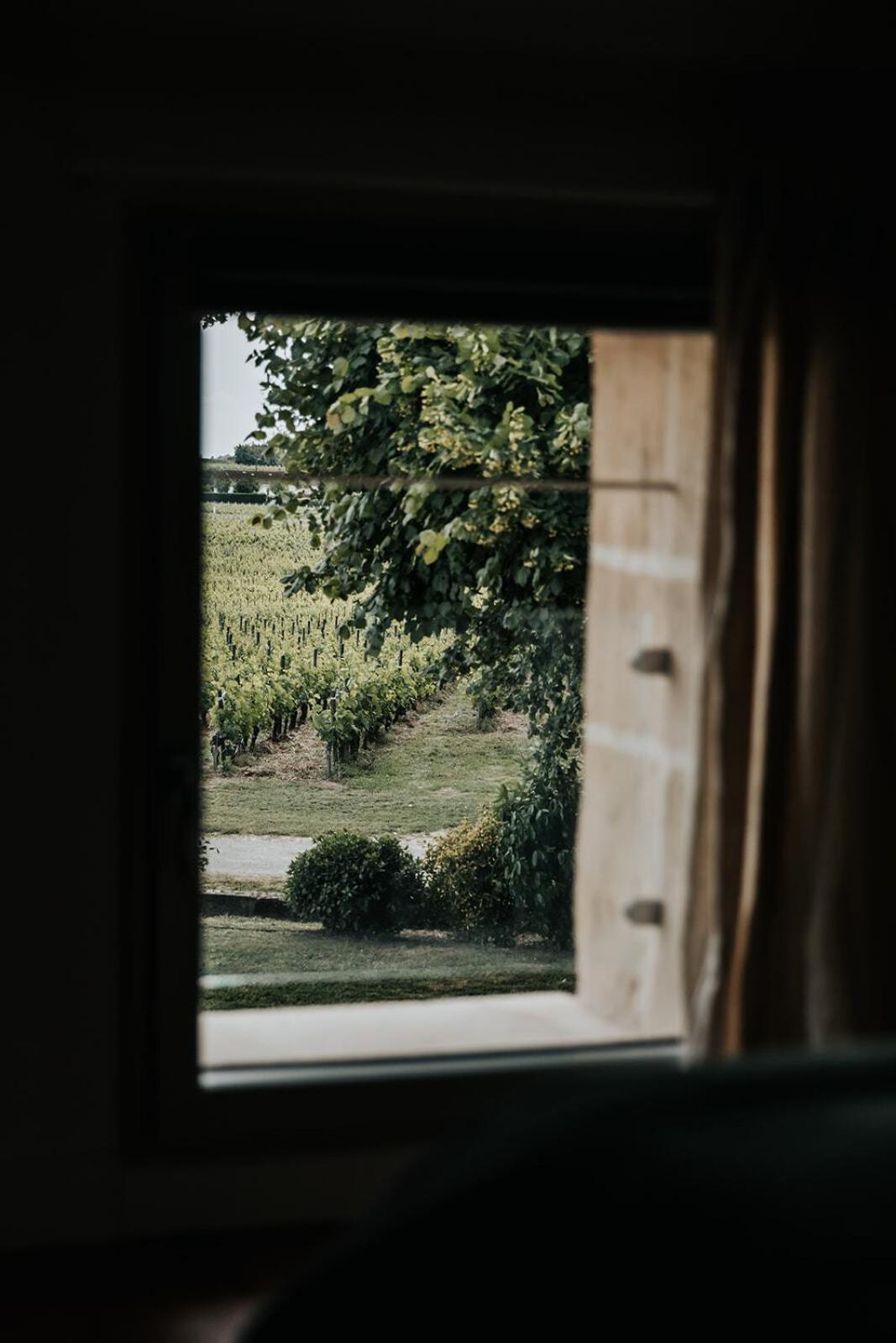 Chateau La Grande Clotte Lussac  Room photo