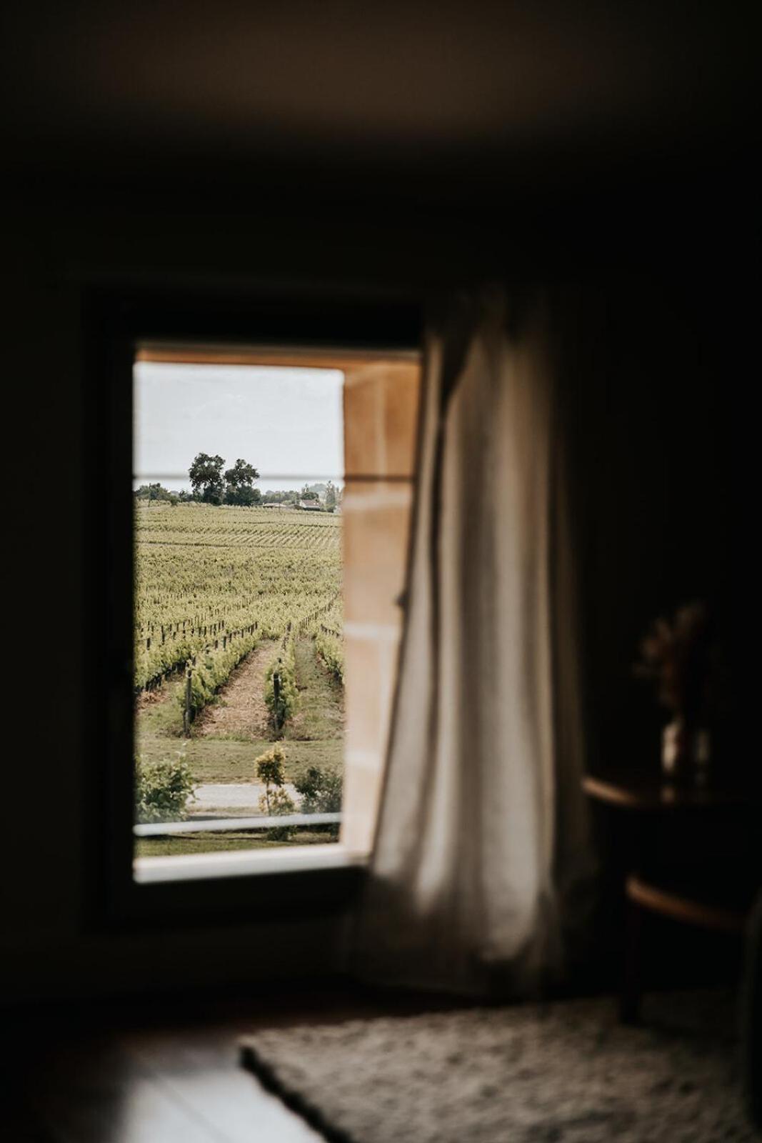 Chateau La Grande Clotte Lussac  Room photo